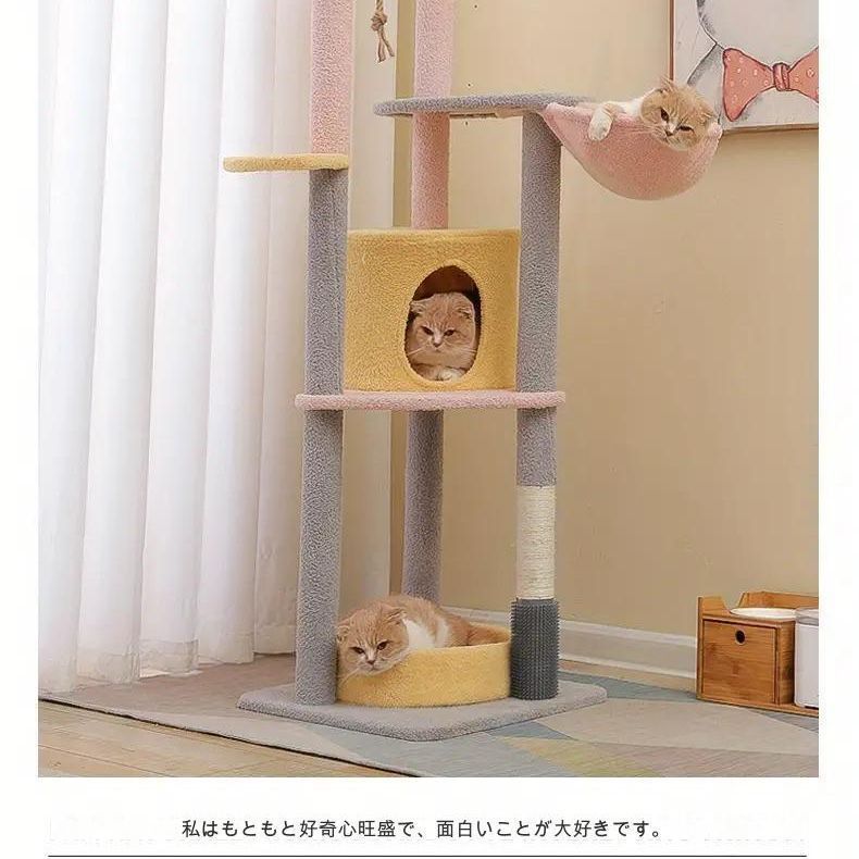 おしゃれ
