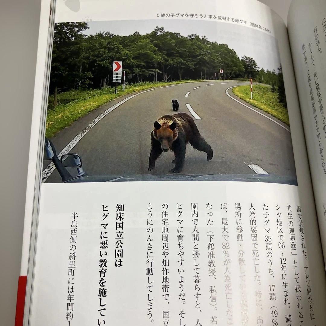 となりの野生ヒグマ いま何が起きているのか - メルカリ