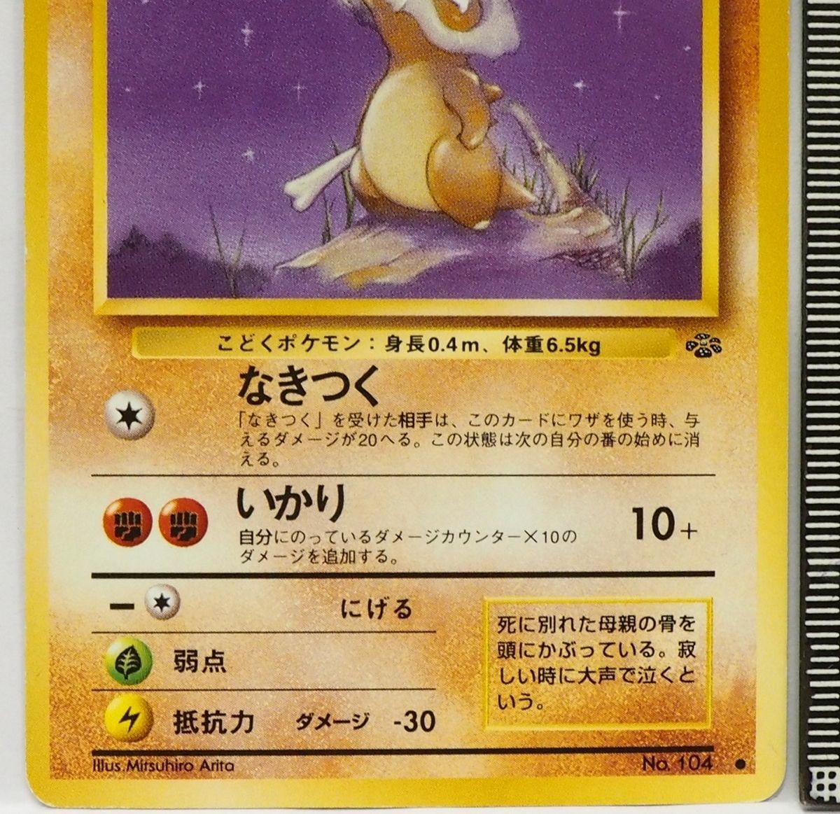旧裏ポケモン カードゲーム拡張パック第2弾ポケモンジャングル