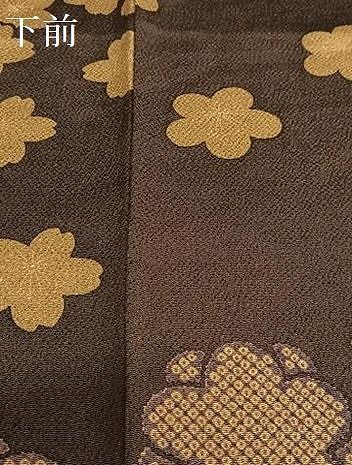 平和屋着物○上質な小紋 舞花文 金彩 鬼しぼ縮緬 正絹 逸品 未