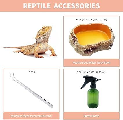 在庫処分】Reptile Growth 爬虫類 ケージ 透明 爬虫類ケージ 飼育容器 小動物用 カメ亀 タンク 両生類用飼育ケース 飼育ボックス  30*18*15cm, カメ、クモ、カエル、ゲッコ、カマキリ、ヘビ、サソリ、庵クラブ - メルカリ