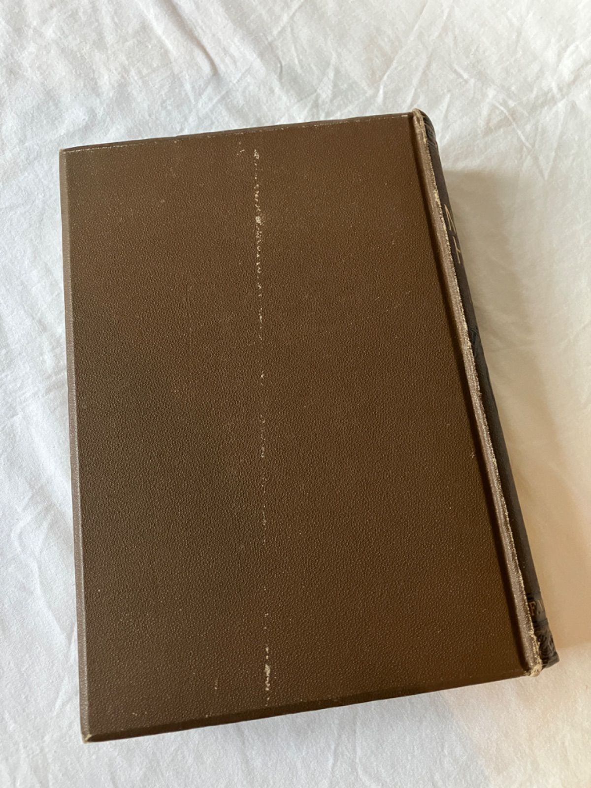 1894年 アンティーク 図鑑 the royal natural history