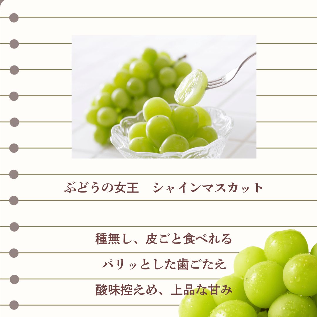 岡山産 白桃