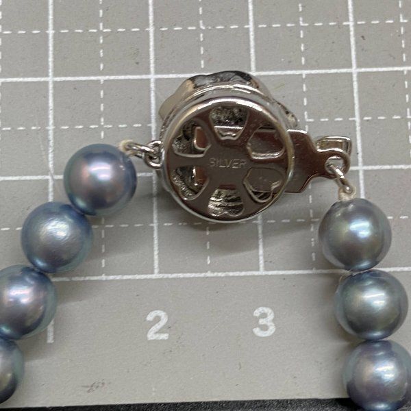アコヤ本真珠ネックレス ケース付 パール　silver　accessory 本真珠✨パールネックレス silverあこやパール - メルカリ