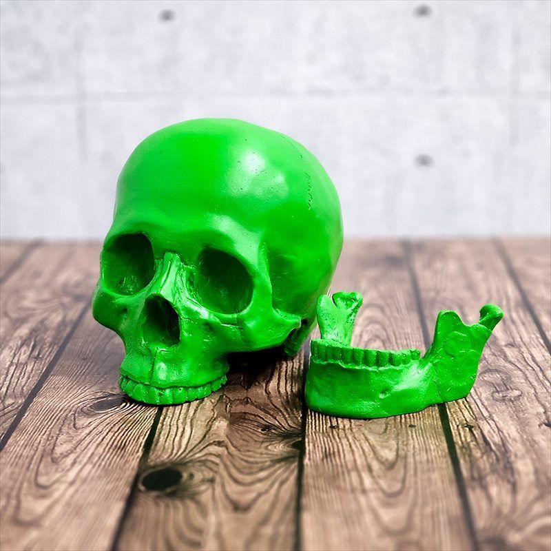 ガイコツ 置物 ドクロ 置物 スカル オブジェ スカルヘッド 骸骨 SKULL