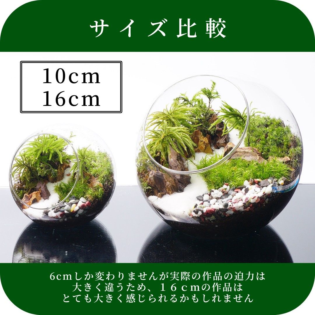 新生活