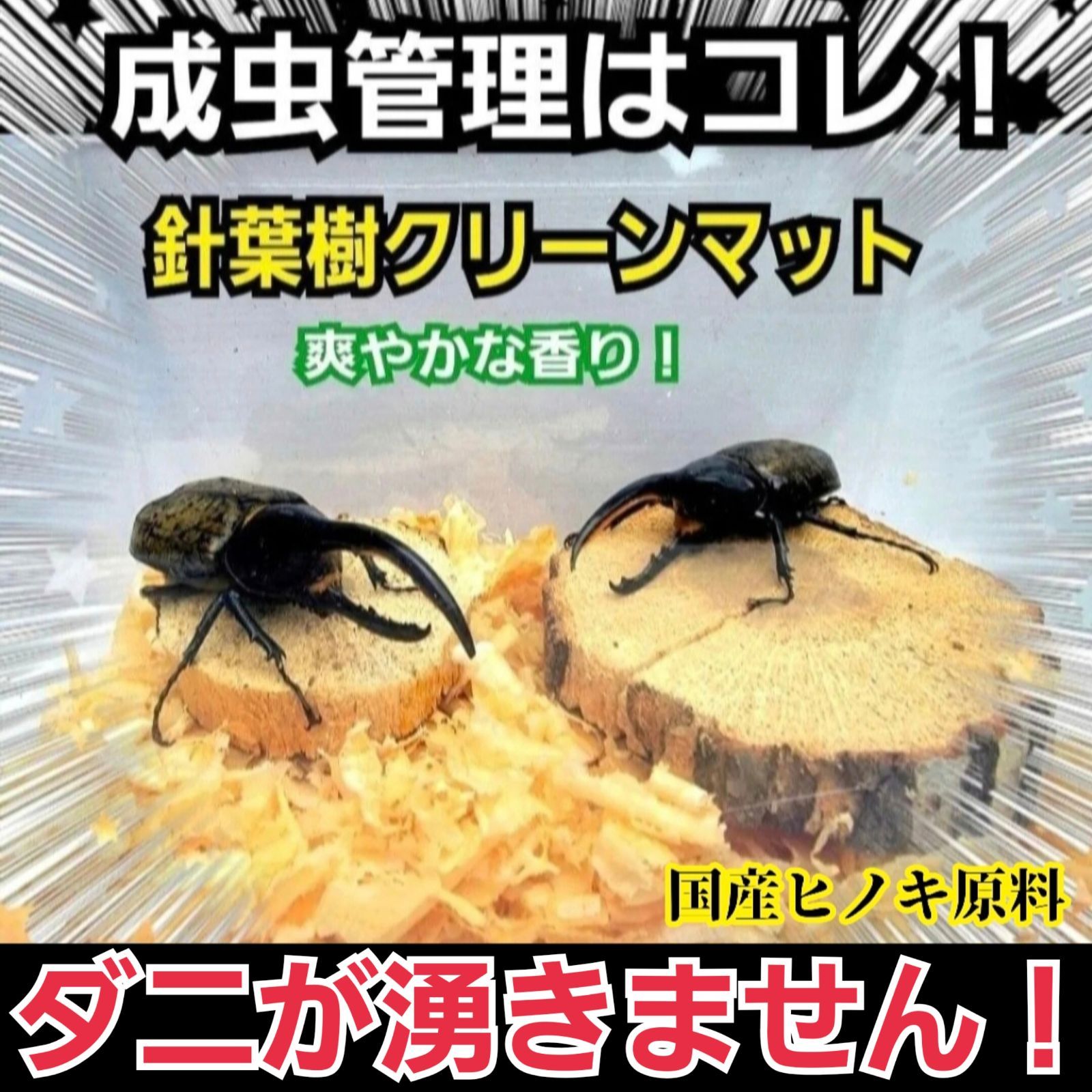破格値下げ 成虫管理にはこのマットが一番良いですよ！爽やかな