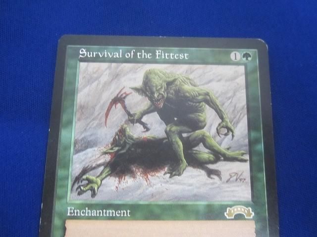 状態D トレカ MTG マジック:ザ・ギャザリング EXO-129 適者生存