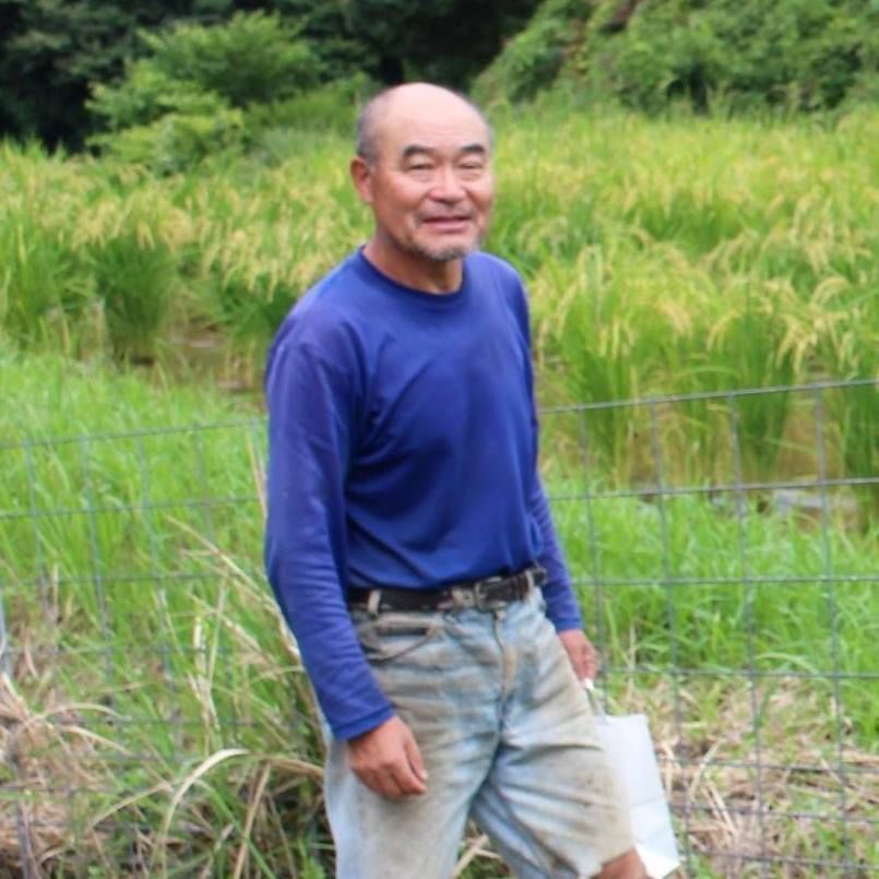 年末セール】【令和7年産】自然栽培「ミズホチカラ」米粉 1kg X