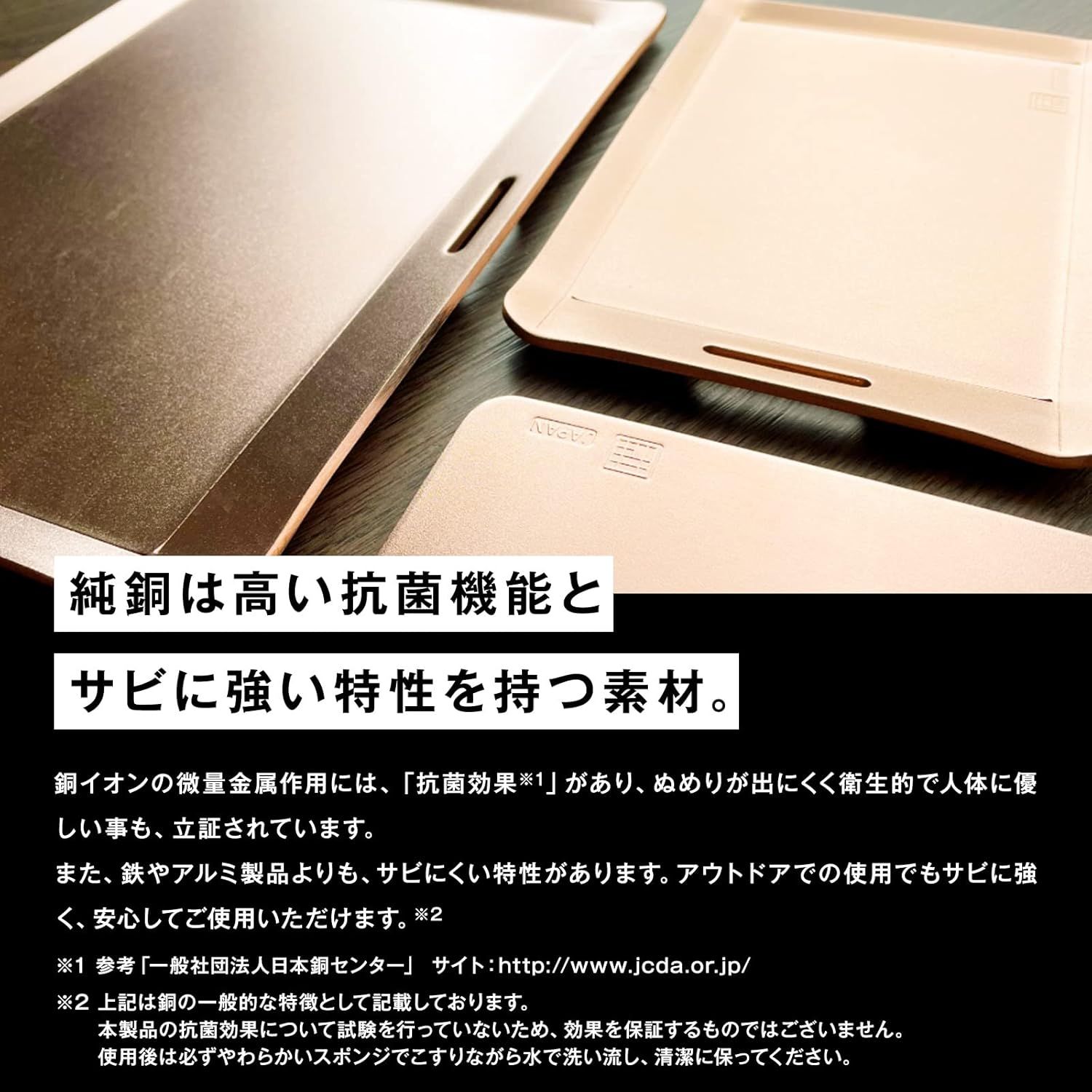 ステーキ ‎約W257㎜×H182㎜
