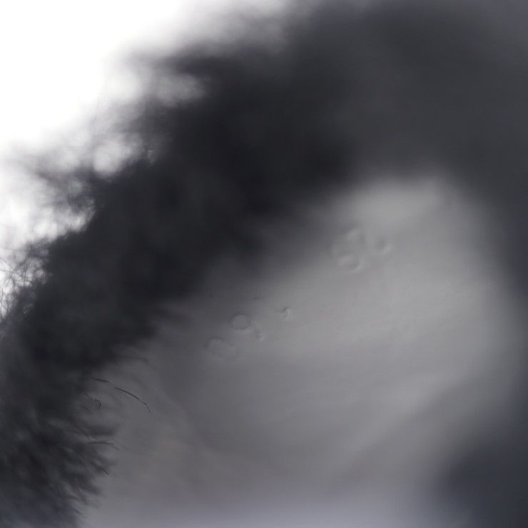  GUCCI グッチ ホースビット サンダル 526176 ＃29 ラバー フェイクファー トリコロール ゴールド金具 子供用 参考サイズ18.5 cm サンダル キッズシューズ