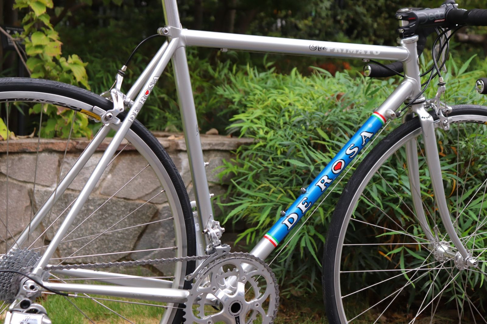 52サイズ カンパ