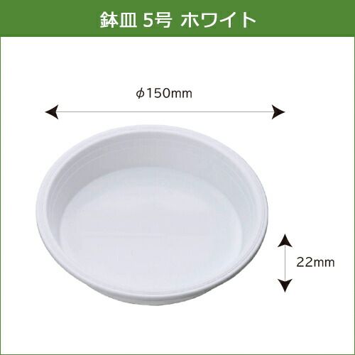 5号