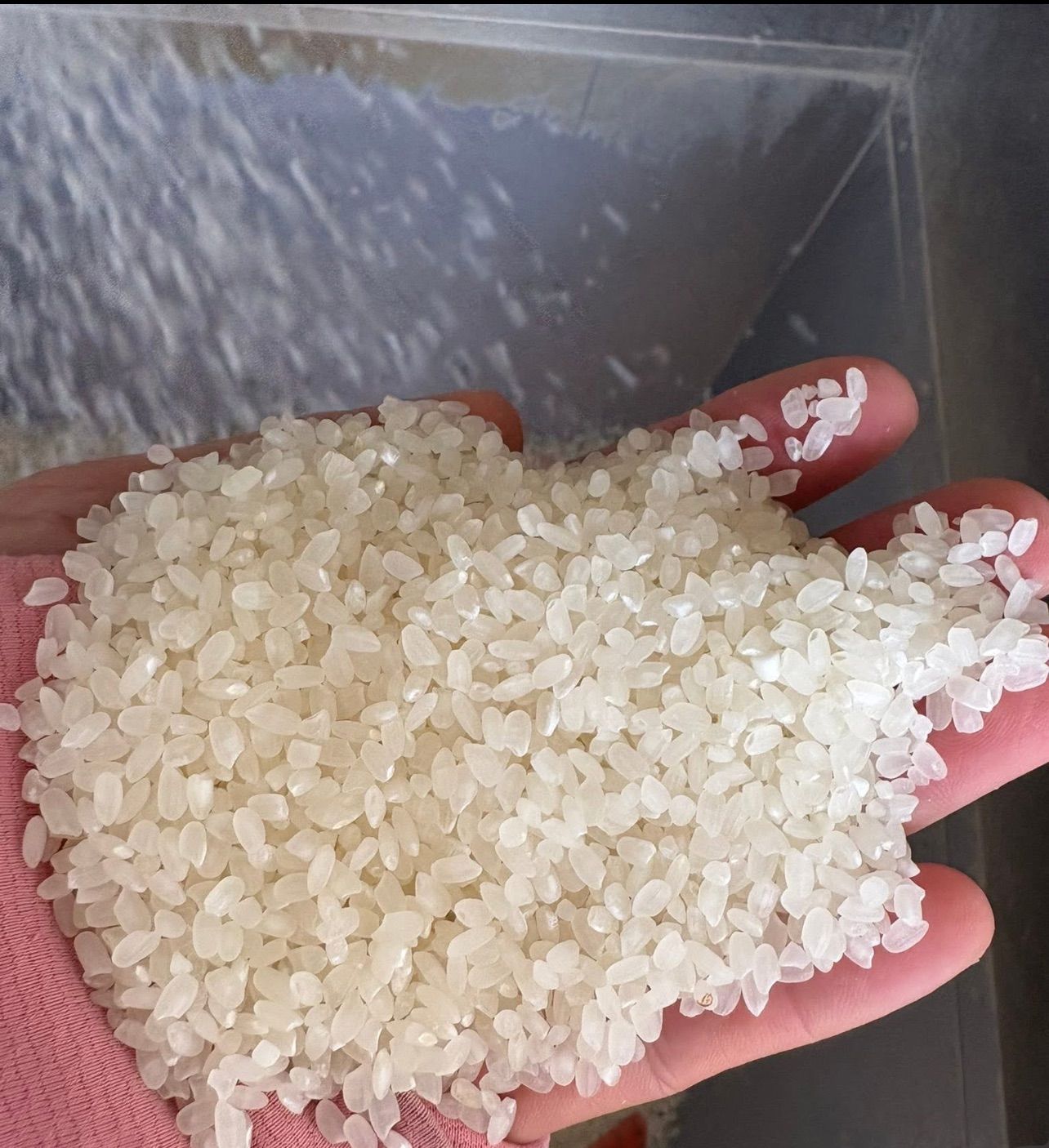 R7 お米 ダンボール込み25キロ 玄米 彩のきずな 一等米