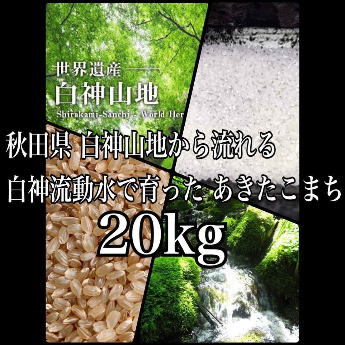 秋田県産 令和５年 新米 あきたこまち２０kg 特別栽培米 無洗米も対応