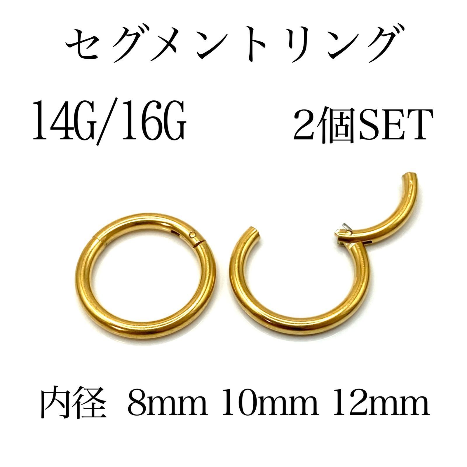 2本 ブラック セグメントリング 16G内径12mm ボディピアス