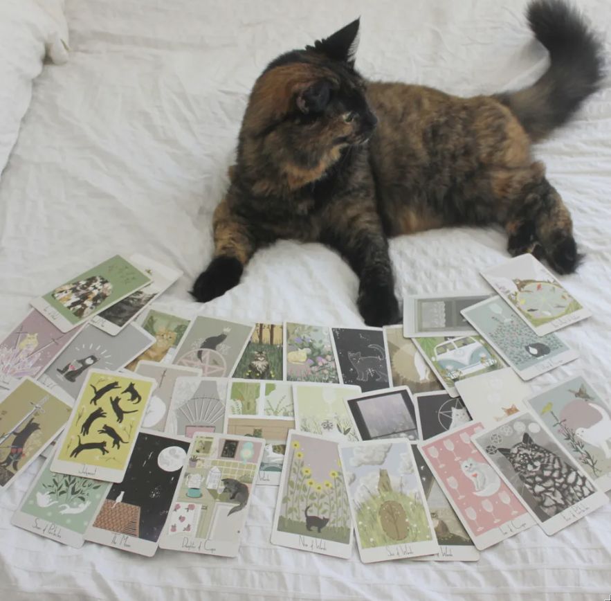日本未入荷🌟思いやりある猫のタロット💖ConsiderateCat💖海外 - メルカリ