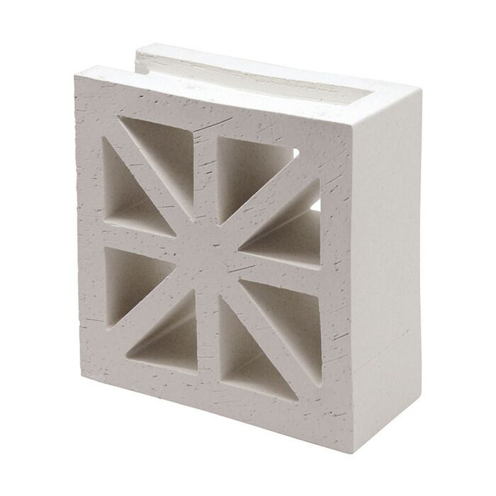 フトオアゲハ♂標本 ☆台湾産☆有名種 104mm 美麗標本状態⭕️ 入手困難