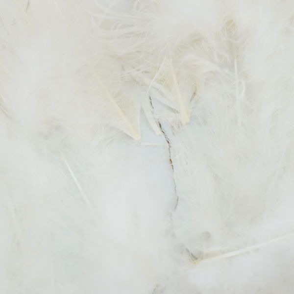 ROSE BEAR 吉川照美 / ローズベア ◇LOVE/テディベア/天使の羽/ピンク