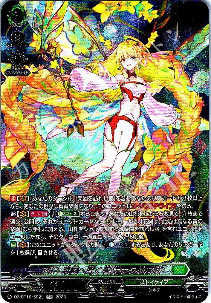 カードファイト!!　ヴァンガード　引退品　　まとめ売り　６０００枚以上 Amazon.co.jp: カードファイト!! ヴァンガード overDress V