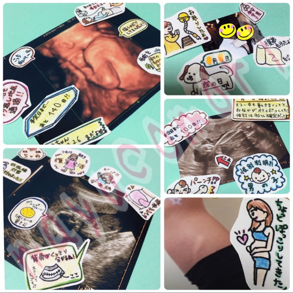 オプション】mayucomoriの手描きシール ＊＊＊いいね！専用ページ＊＊＊