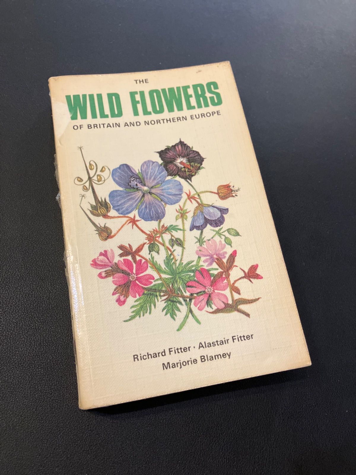 洋書 古書 A Book of Wild Flowers 植物図鑑 水彩画 画集