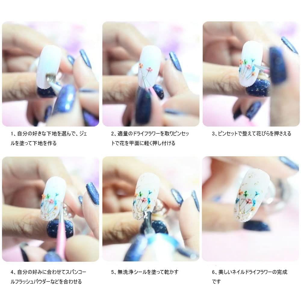 コウ Amazon | Sun&Beam Nails 手作り ネイルチップ ミディアム