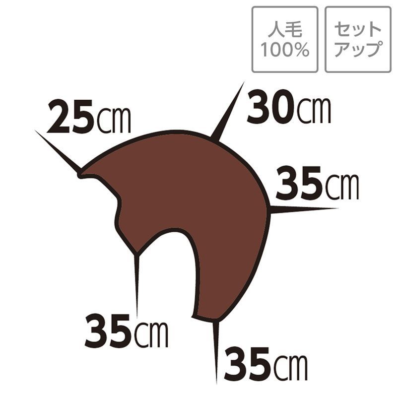 Ci セットアップ ウィッグ 81【人毛100％ アップ カラー サロン専売品