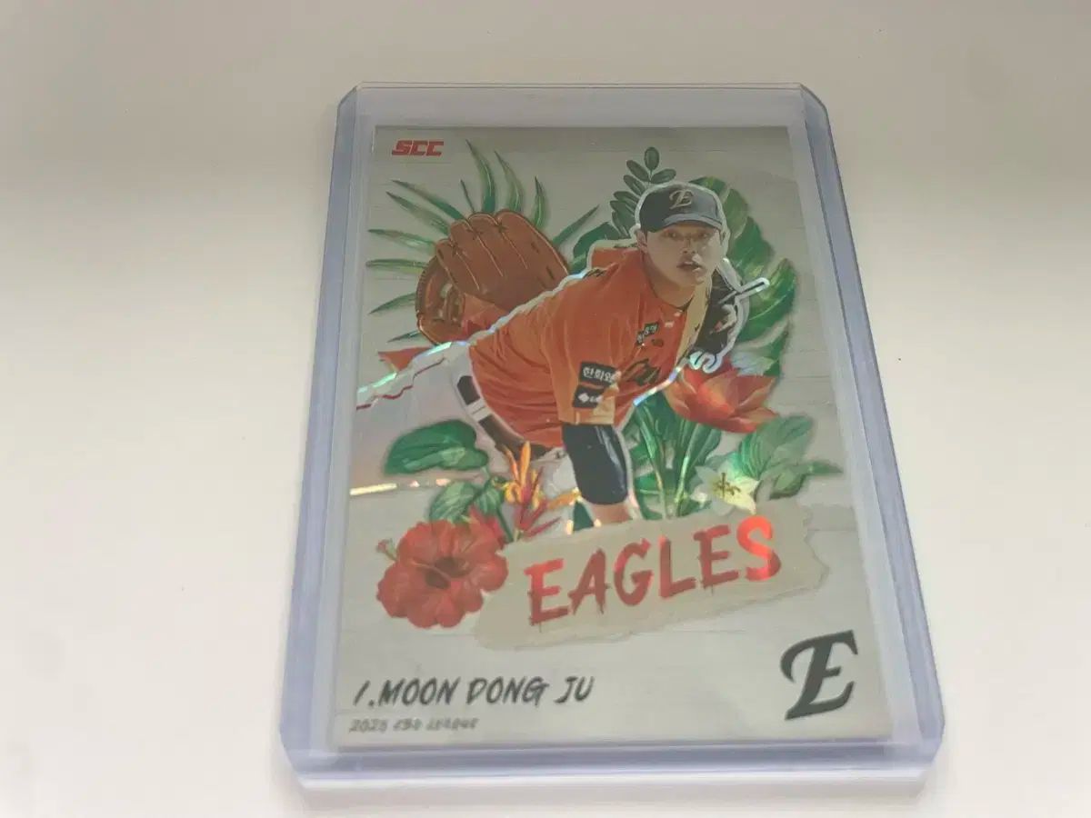 2025 KBO 感覚 トロピカル ケースヒット Hanwhae Eagles ハンファ イーグルス 文 棟柱 ムン ドンジュ