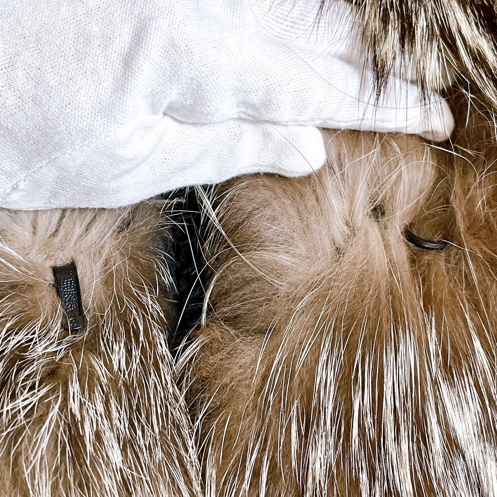 金サガ サガフォックス