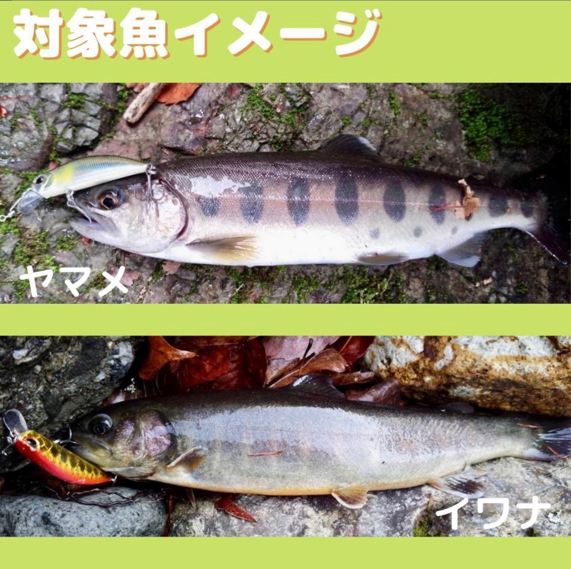 渓流 ルアー トラウト ミノー 15種類から選べる4個セット - メルカリ