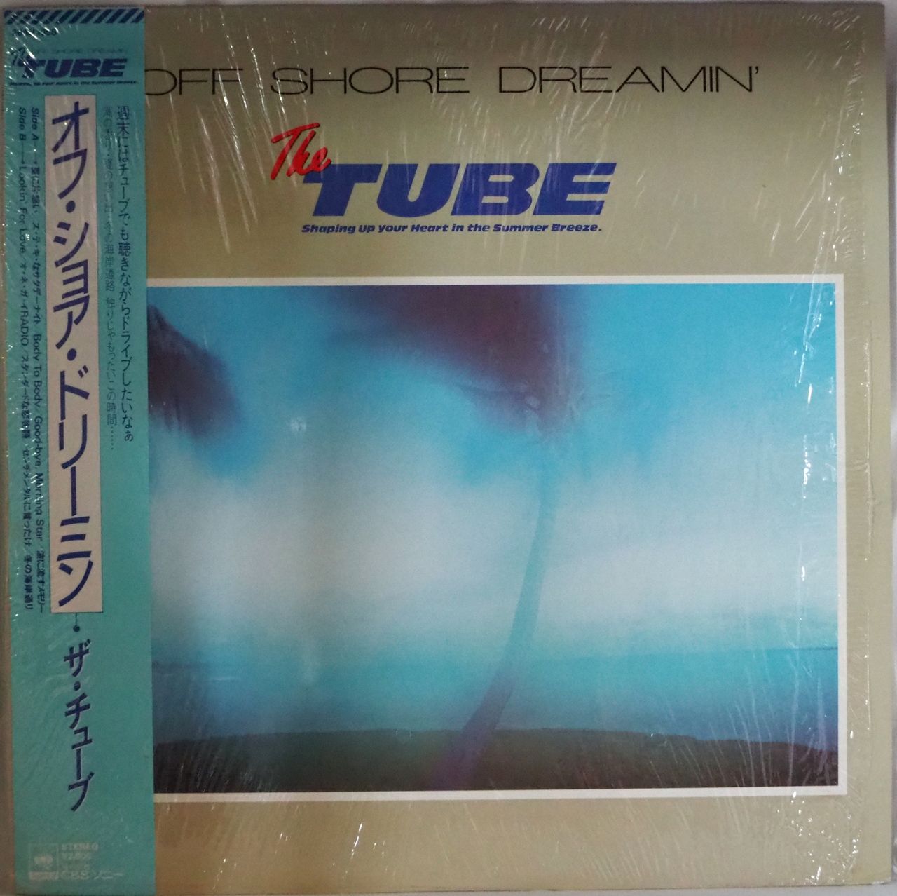 TUBE レコード　LP Off Shore Dreamin’ 亜蘭知子 TUBE レコード LP Off Shore Dreamin' 亜蘭知子 TUBE レコード