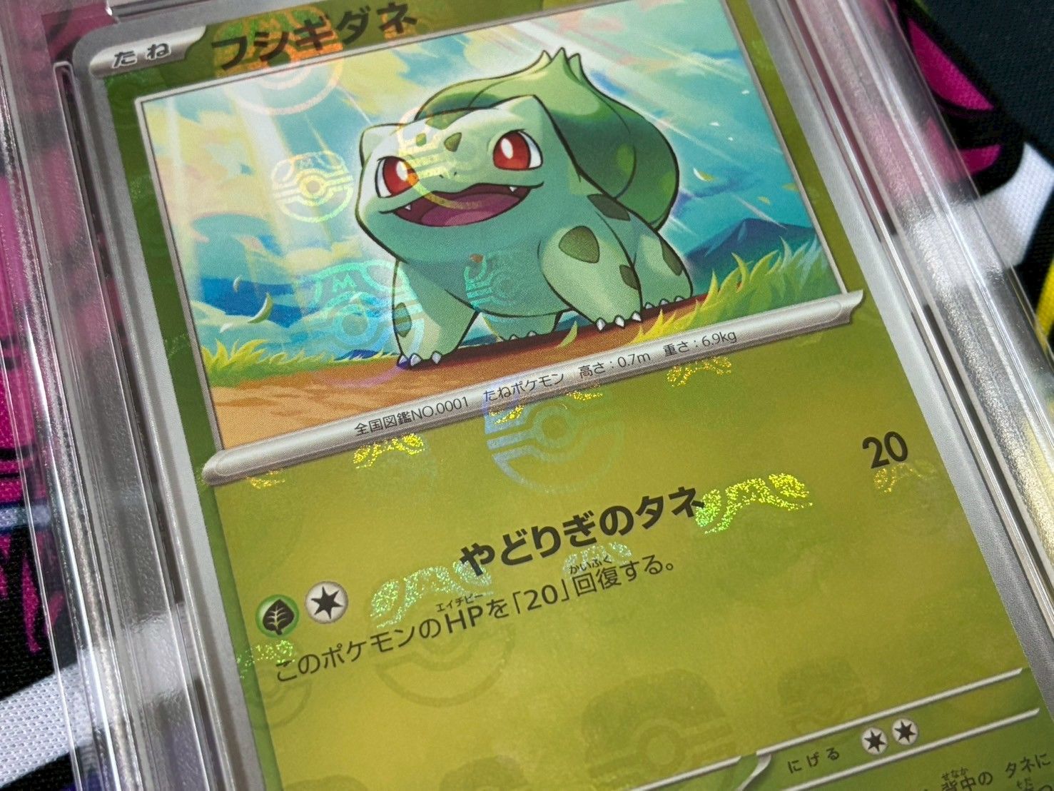 PSA10フシギダネ　マスターボールミラー　ポケモンカード　151 PSA10】 フシギダネ (C/マスターボールミラー) {001/165} [SV2a