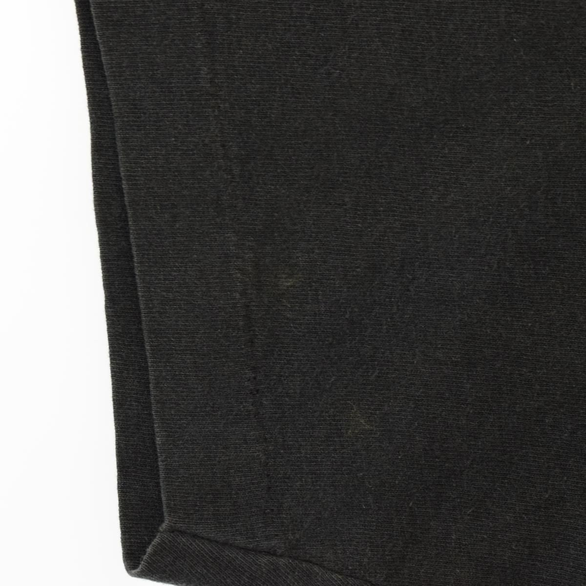 19cm商品名90年代 フルーツオブザルーム FRUIT OF THE LOOM 鷲柄 イーグル柄 アニマルプリントTシャツ USA製 メンズL ヴィンテージ /eaa313614
