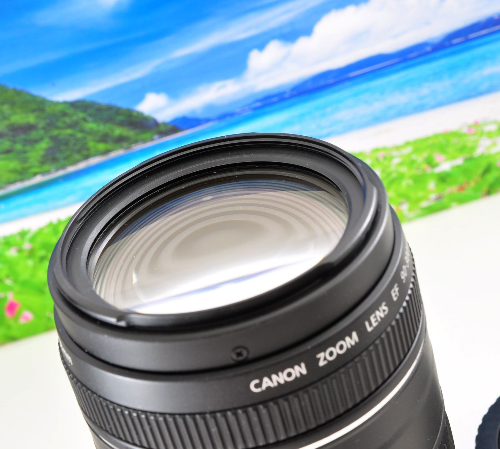 最高の瞬間を望遠で！ Canon キヤノン 望遠レンズ EF90-300mm3 ♥♢望遠レンズ キヤノン EF90-300mm Canon 最高の瞬間を望遠で！