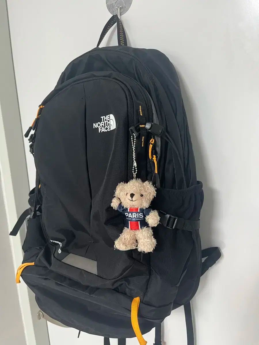 廃盤 希少 グレゴリー バックパック 旧ロゴ 銀タグ USA製 デイアンド