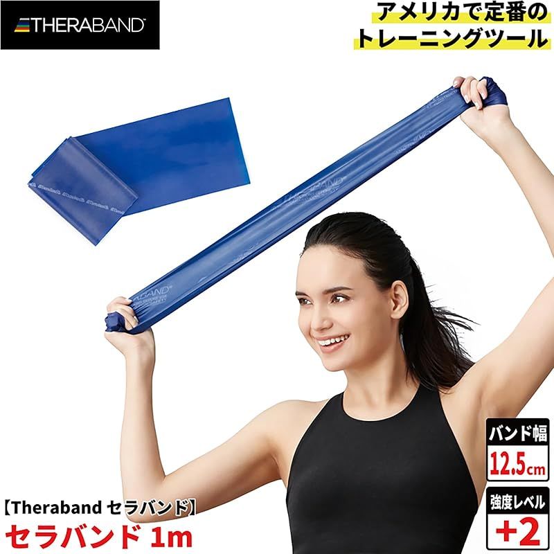 タクミワークス 気化熱式冷却ベスト クールガイエバポ ブラック M