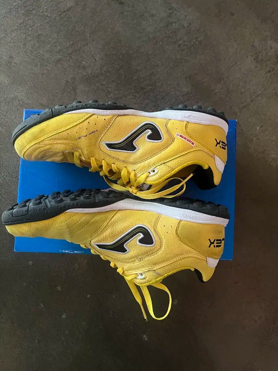 Joma ホマ