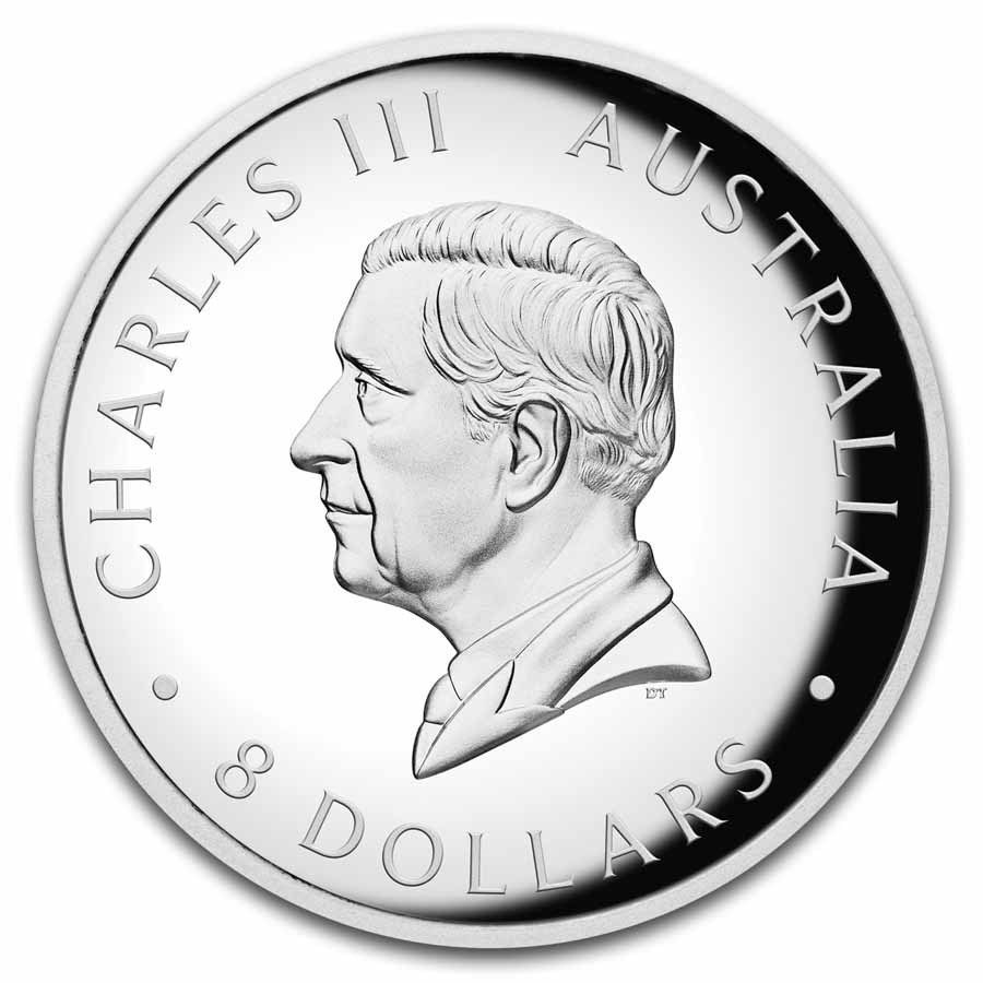 白鳥 ハクチョウ