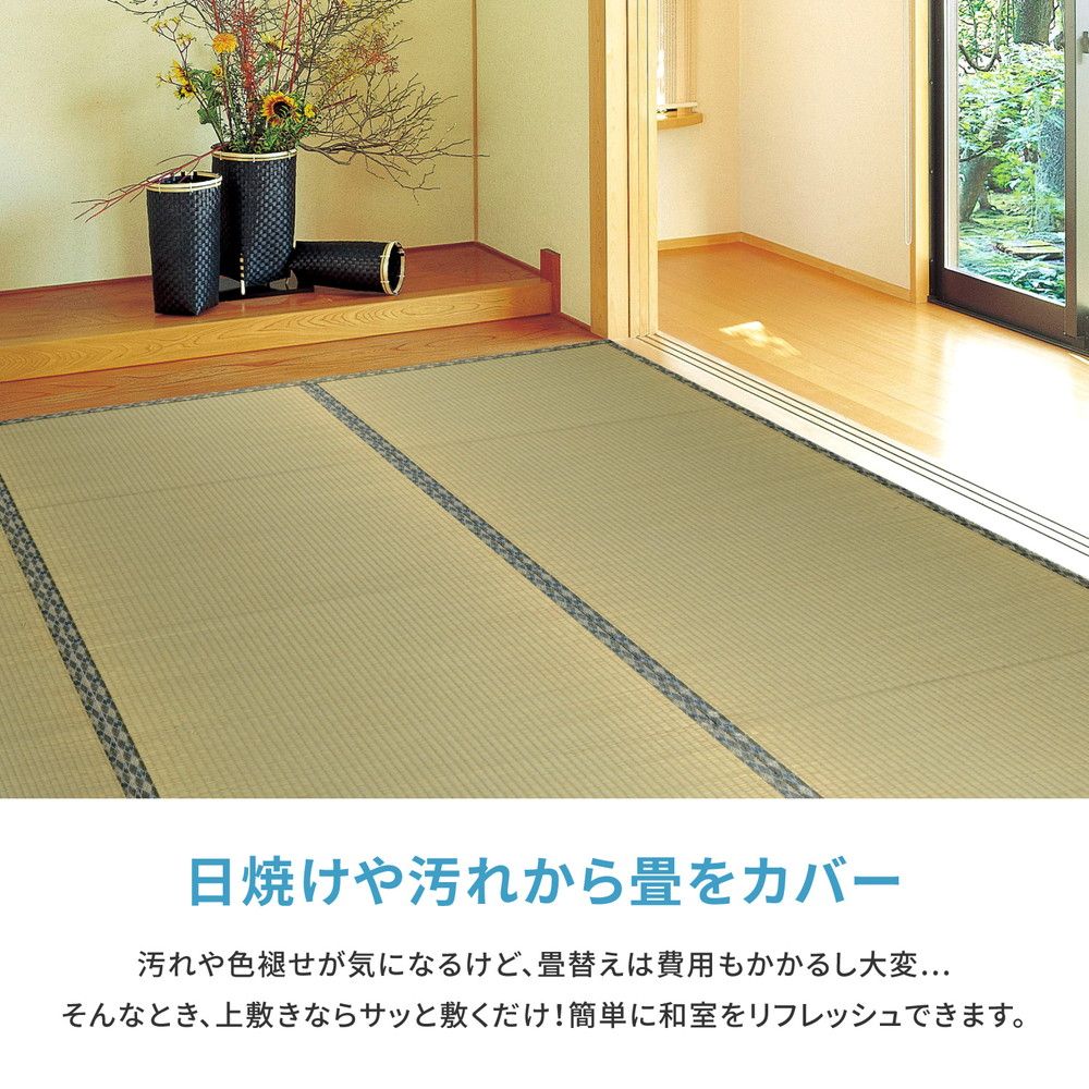 い草カーペット