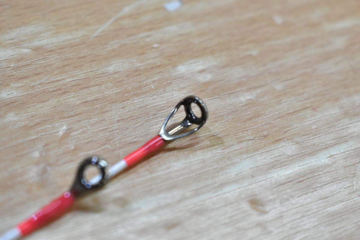 タチウオ マダイ