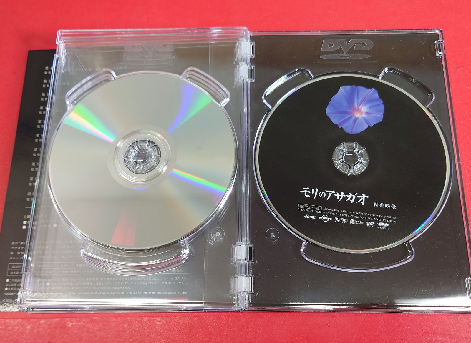 モリのアサガオ DVD－BOX／伊藤淳史,ARATA,香椎由宇