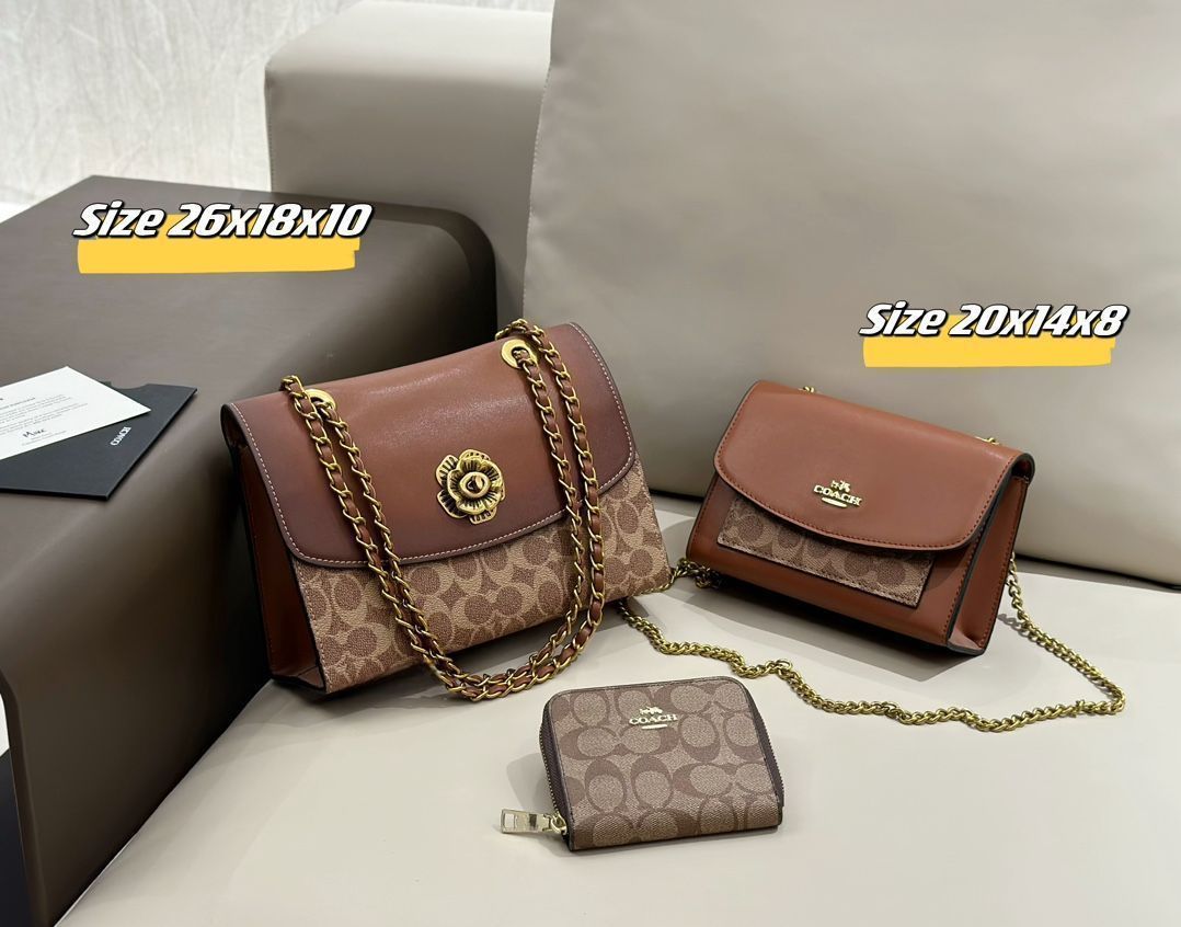 今日特価】グッチ（Gucci）と COACH のハンドバッグ、財布
