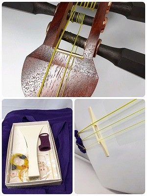 ソフトケース付