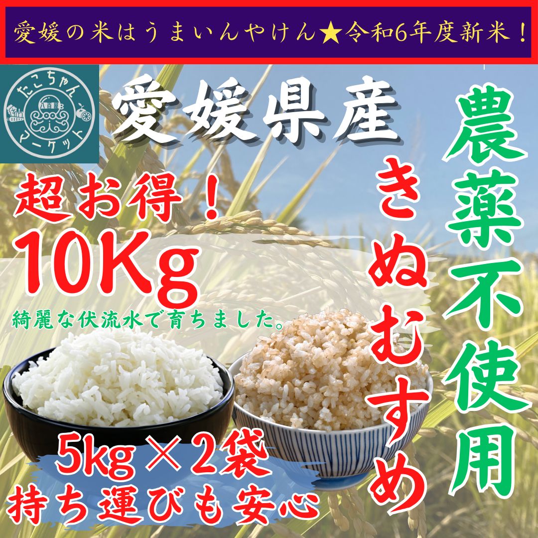 令和6年度 無農薬栽培 新米【玄米・白米選べます】愛媛県産 お米 きぬむすめ 10kg 農薬不使用 - メルカリ