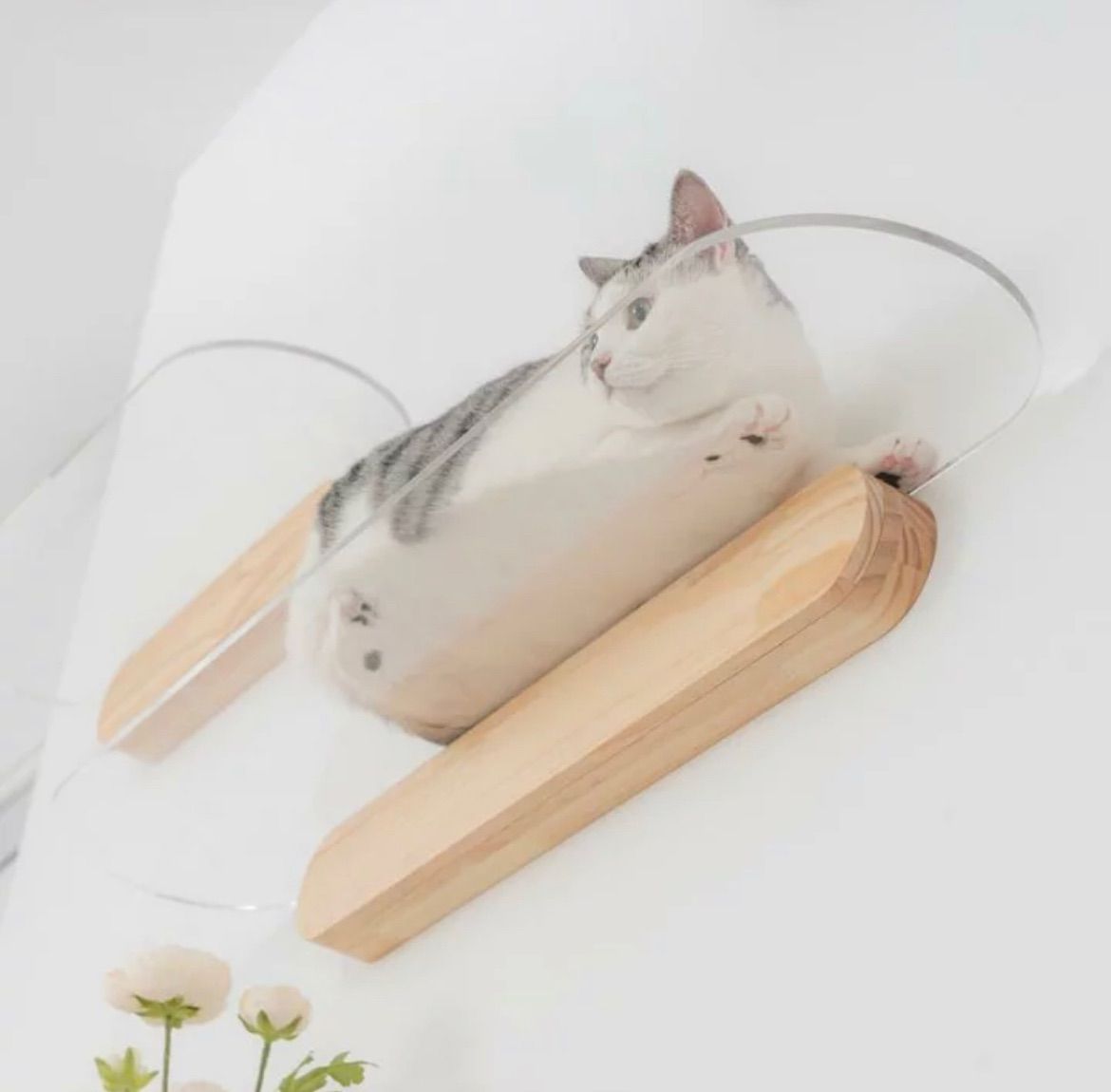 MYZOO マイズー キャットステップ OBLONG オブロング サイズM クリア おしゃれ 壁面アート ねこステップ 猫家具 壁取り付け ねこベット インテリア キャットウォーク 60cm