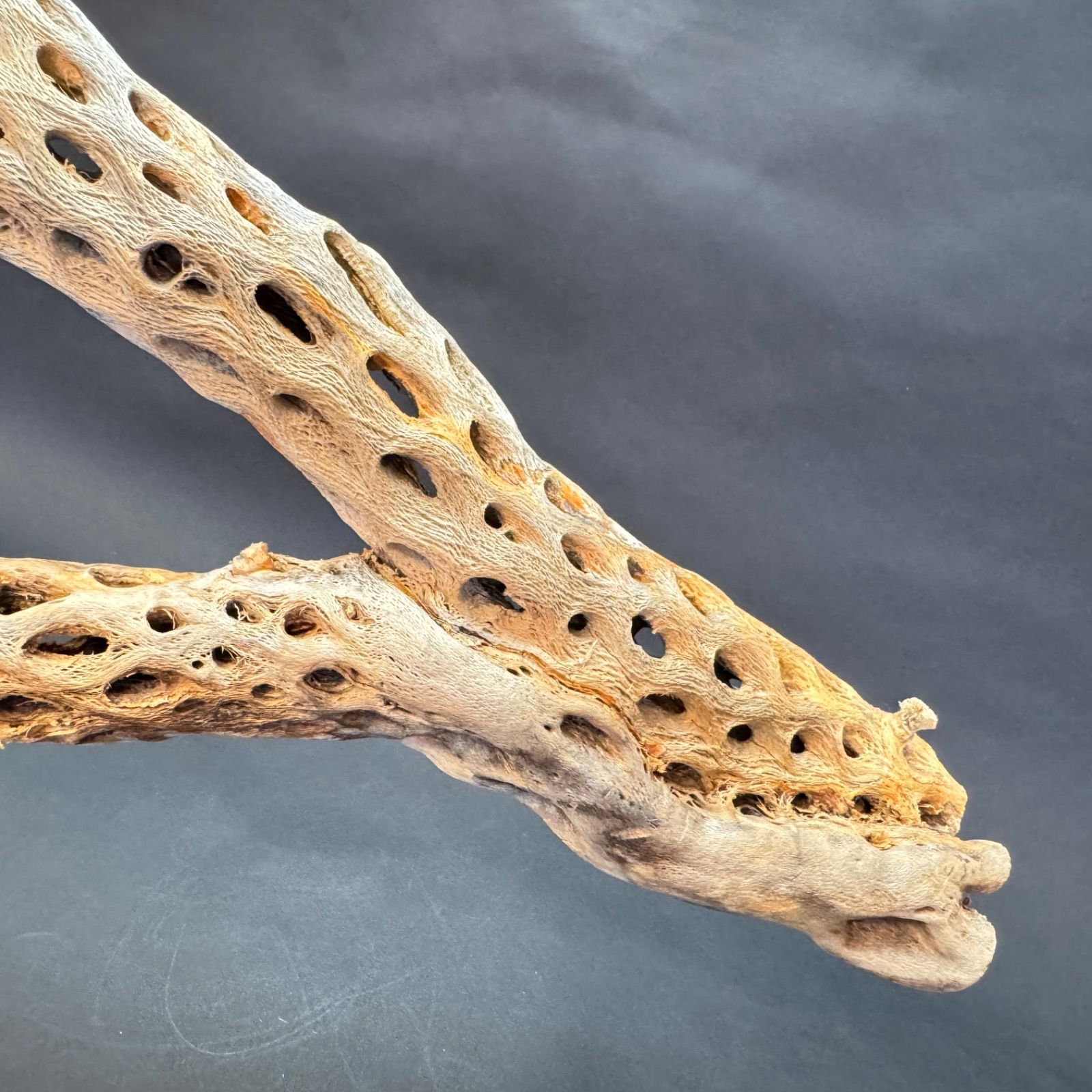 約 長さ86cm×最大幅27cm×最大φ9.5cm＊