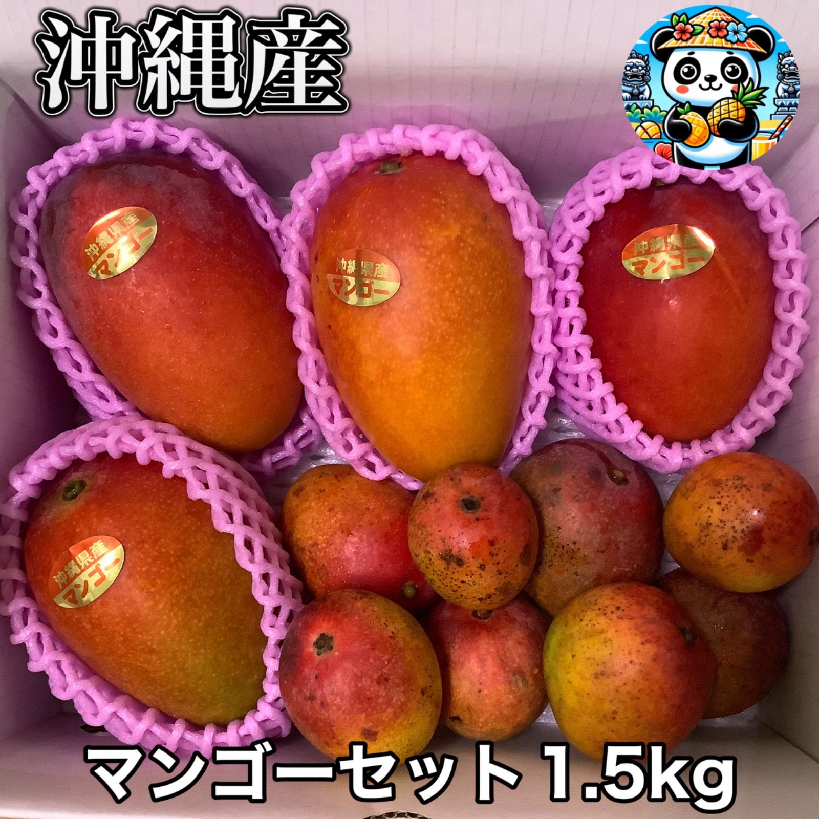 沖縄 訳あり家庭用ミニマンゴー 4,5kg(4,8kg) クール便 【公式通販】