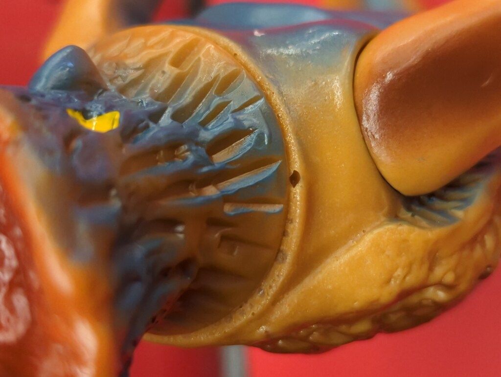 マルサン ウルトラ怪獣シリーズ トルトス海人 黄土色成型 マペット付き