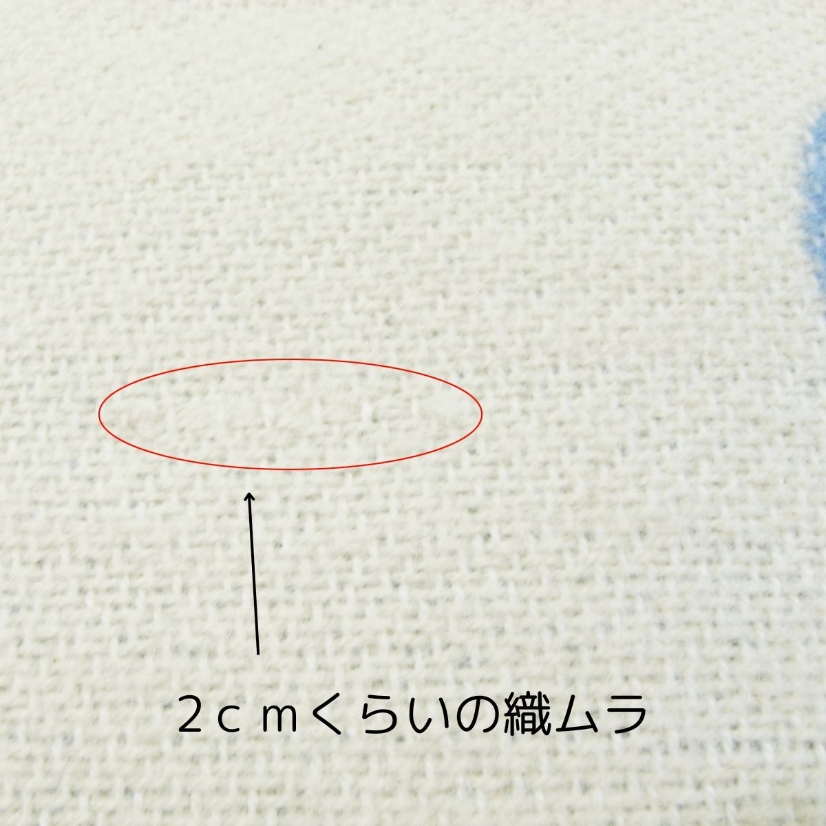 ブラッシュオーガニックコットン